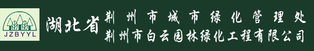 2025年正版資料免費(fèi)大全,2025天天開(kāi)彩資料大全免費(fèi),澳門(mén)正版最新免費(fèi)資料,2025精準(zhǔn)資料免費(fèi)提供最新版,2025澳門(mén)資料大全免費(fèi)